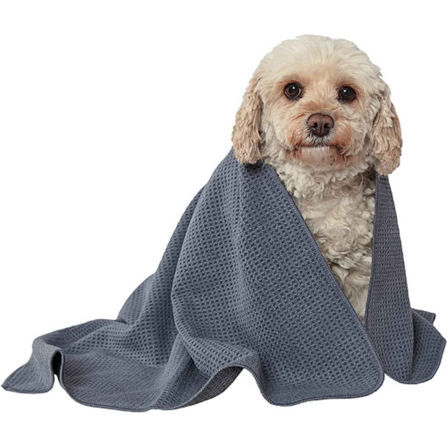 Best dog towels to keep your pup dry and cosy